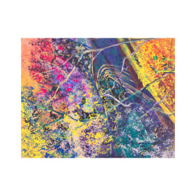 Alizarin Sunset item