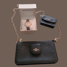 Coach Purse & Ellen Tracy Watch Set ($330 value) item