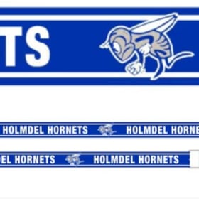 Non-Beaded Bag Strap item