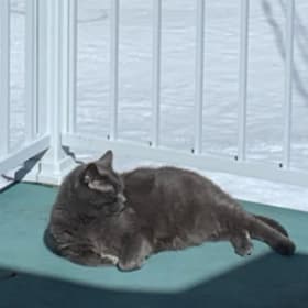 Monsieur Marley item