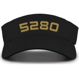 Visor item