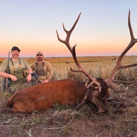 Hunt Red Stag in Argentina for 2, April 2026 item