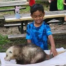 Mass Audubon Family Membership + Animal Encounter item