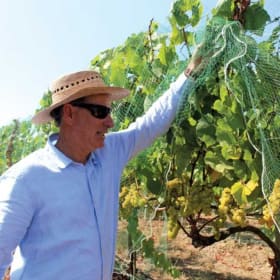 Regan Vineyards Wine Tour for Four item