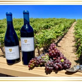Regan Vineyards Wine Tour for Four item