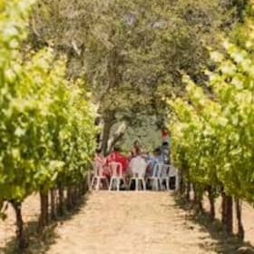Windy Oaks Estate Private Wine Experience for Four item