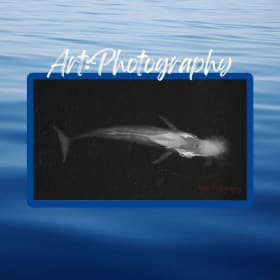 'Blue Arch' by Brandon Buza item