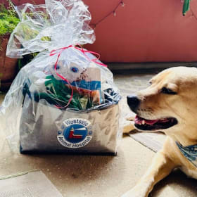 Pampered Pup Basket from Westside Animal Hospital item