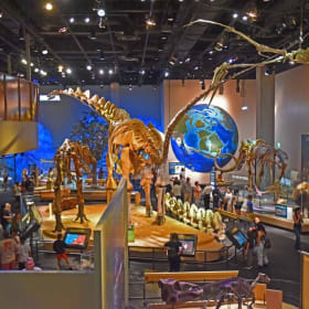 Perot Museum Core 5 Membership – A Year of Discovery for 5 item