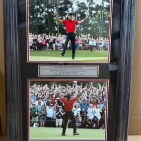 Tigers Comeback item