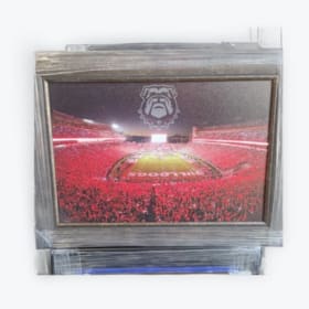 UGA Stadium Canvas Art item