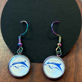 Dangly Iridescent Earrings item