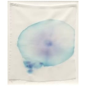 Leisure (Meredith Carruthers + Susannah Wesley) item