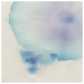 Leisure (Meredith Carruthers + Susannah Wesley) item