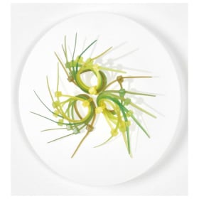 Elisabeth Picard item