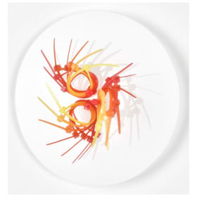 Elisabeth Picard item