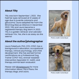 Try Again, Tilly! Softcover Book (with shipping) item