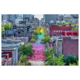 Shaune Thompson item