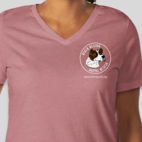 Mauve, Size M, Women's Bella+Canvas V-Neck (Front Logo) item