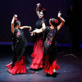 4 Classes of Intro Flamenco with Flamenco Rosario item