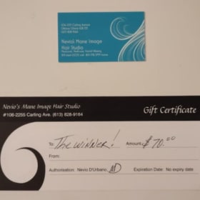 Mane Image Hair Studio - $70 Gift Certificate item