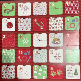 25 Day Dog Advent Calendar - Small item