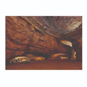 Notecards - one size item