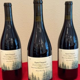 2022 Madson Toyon Vineyard Pinot Noir – Santa Cruz Mountains item