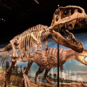 Denver Museum of Nature & Science – Four Admission Passes item