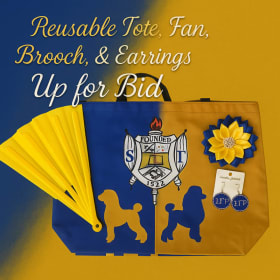 Reusable Tote, Fan, Brooch & Earrings Set item