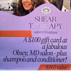 $100 Shear Therapy Salon Gift Card item