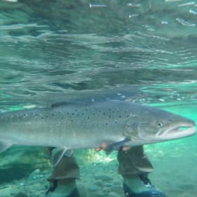 Séjour de pêche du saumon pour 2 personnes, avec hébergement item