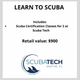 Learn To Scuba item