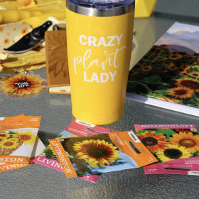🌻 Sunshine & Stories: The Sunflower Basket item