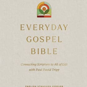 Everyday Gospel Bible item