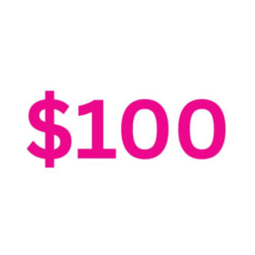 DONATION ONLY: $100 item