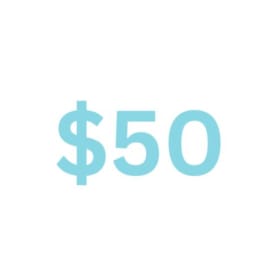 DONATION ONLY: $50 item