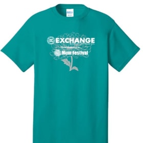 PC54 Port & Company Core Cotton Tee - Teal, Medium item