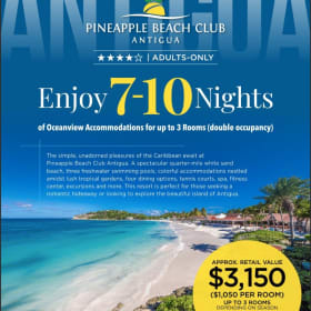 Pineapple Beach Club - ADULTS ONLY item