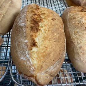 The Daily Bread item