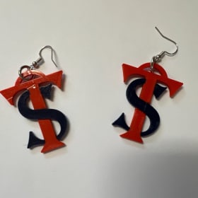 Earrings- TS item