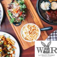 LOT #31 - LE WHITE RABBIT - 100 $ item