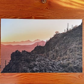 46-Photo "Douce piquant" de Alexandra Racine - valeur $130 item