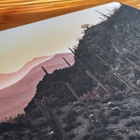 46-Photo "Douce piquant" de Alexandra Racine - valeur $130 item