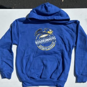 Adult Blue or grey hoodie item