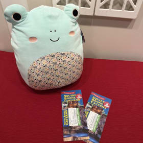 Fritz Squishmallow and Squire Boone Cavern Tickets for 4 item