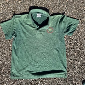Farnborough Primary - PE Polo Green - 14/15 years item