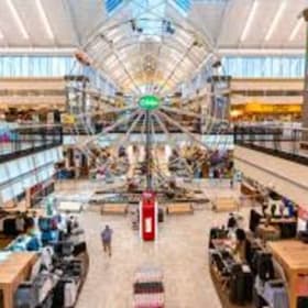 Scheel's Gift Card item