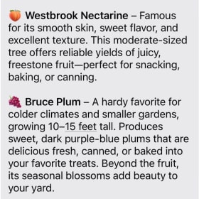 Fruit Tree (necatarin or plum) item