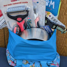 17. Doggy Basics (Pink) Basket item